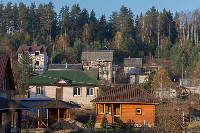 Контроль за деятельностью садоводческих товариществ необходимо усилить