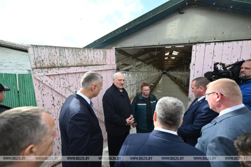 Жесткая критика но не только Лукашенко поручил за будущий год кардинально изменить Могилевскую область