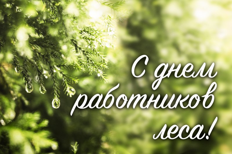 Поздравление с Днем работников леса от Зельвенского райисполкома и Совета депутатов