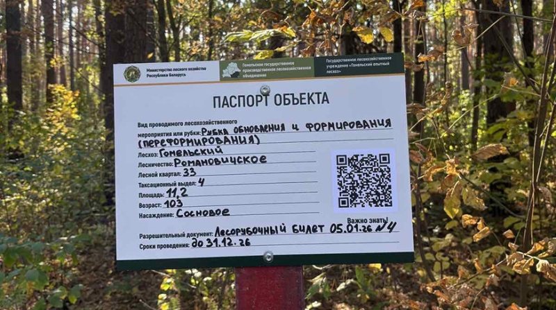Получить помощь заказать дрова и узнать о рубках в белорусских лесах устанавливают спецзнаки