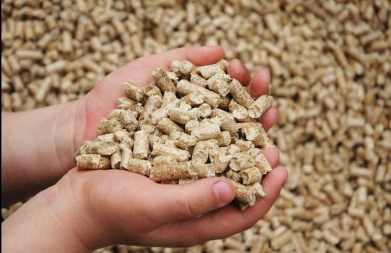 Какие преимущества есть у древесных пеллет Актуальная информация от Слонимского лесхоза