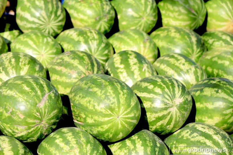 Тест для арбуза Как выбрать сочную полосатую ягоду