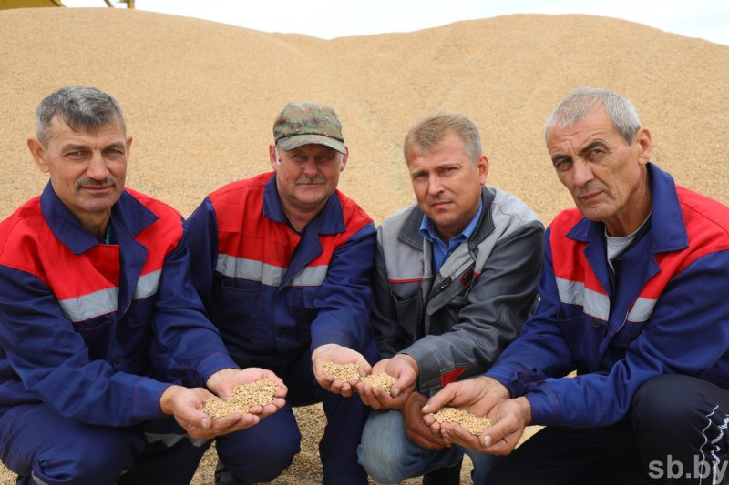 В одном из хозяйств Зельвенского района определились три трехтысячника