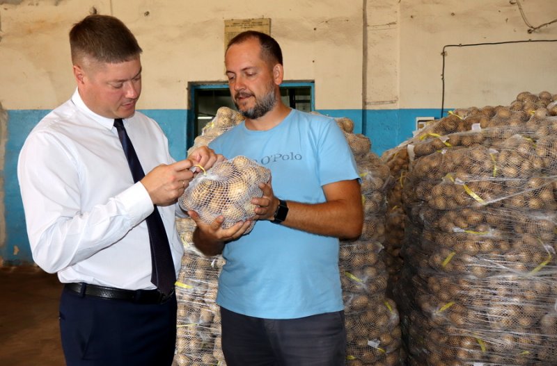 Фермерское хозяйство Долина Вкуса приступило к уборке картофеля