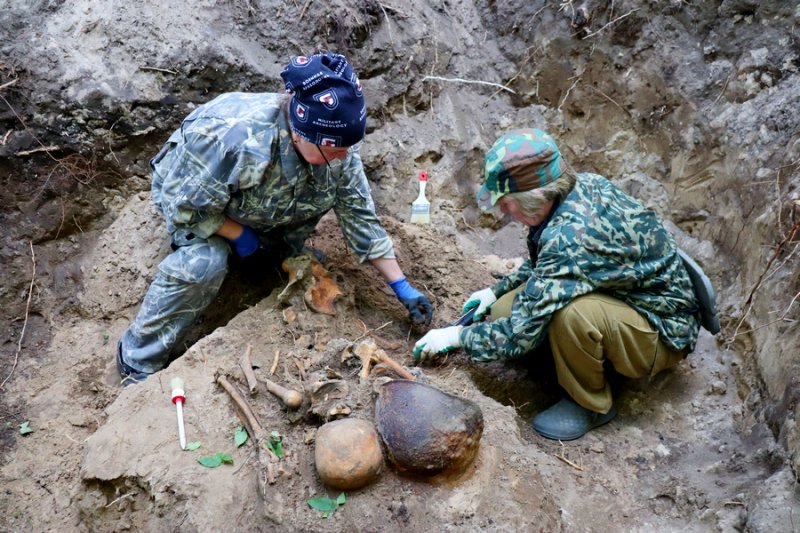 Война пришлась на их молодость На Зельвенщине во время поисковых работ обнаружены останки погибших красноармейцев
