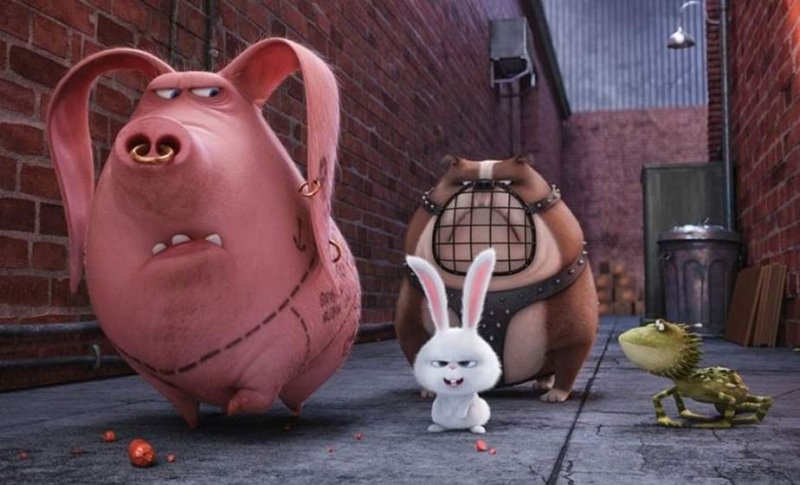 Что посмотреть пять фильмов о дружбе с животными