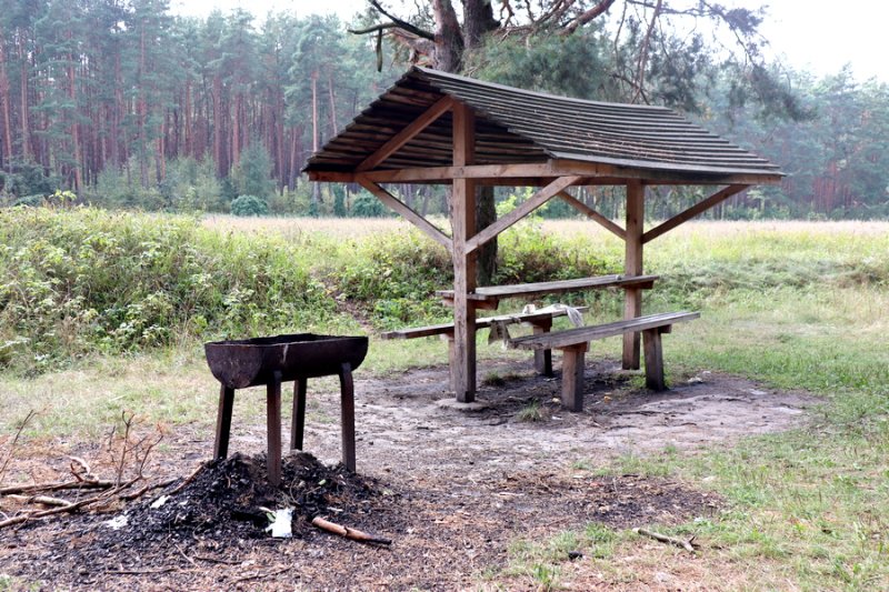 Непристойное поведение К чему приводит мода на бескультурье
