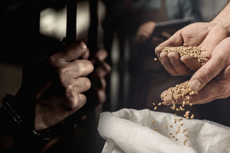 Правонарушения в сфере АПК что влечёт за собой хищение из сельхозорганизаций