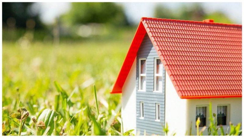 Борьба с самоволкой и земельная амнистия в Беларуси как решить вопрос легализации самовольно занятых участков