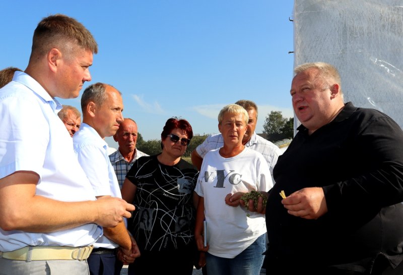 Идет уборка кукурузы Как заготовить качественные корма изучили зельвенские аграрии