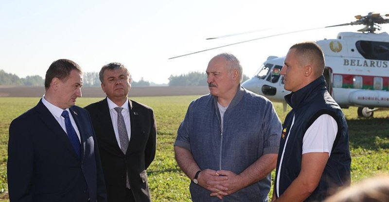 Перестать кланяться импортному яблоку Александр Лукашенко о задаче страны в плодоводстве