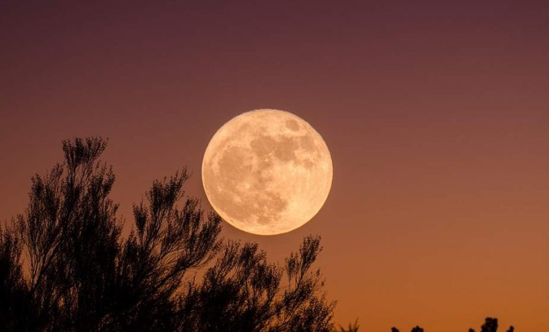 Самую большую и яркую Луну года можно будет наблюдать в небе над Землей  октября