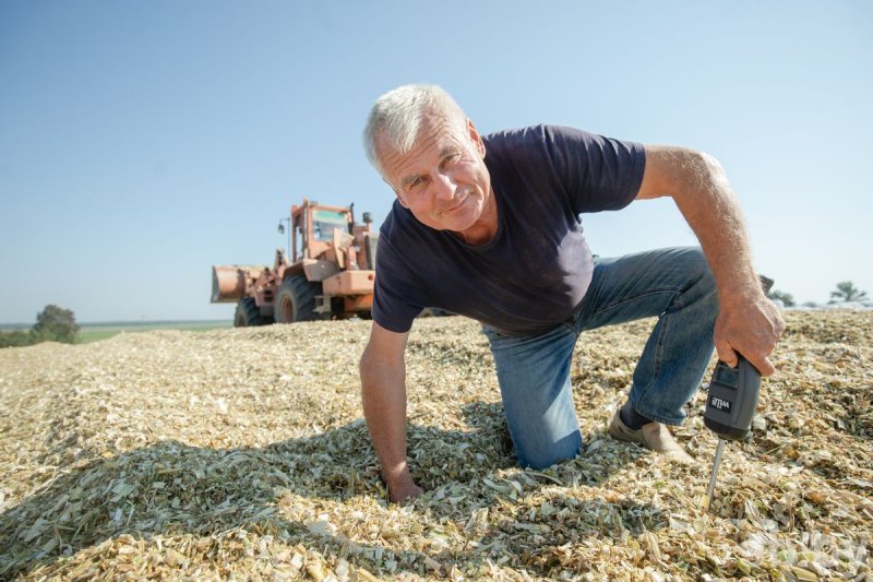 Горох бобы люпин  чем хозяйство в Зельвенском районе замещает импортную сою