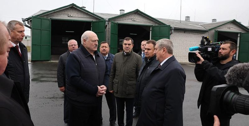 Александр Лукашенко поручил вернуться к программе по развитию Полесья