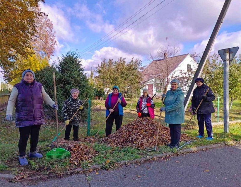 Пожилые каролинцы приняли участие в экологической акции Чистый город