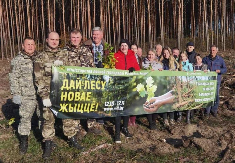 Работники прокуратуры Зельвенского Слонимского районов и Зельвенского РОСК приняли участие в восстановлении леса