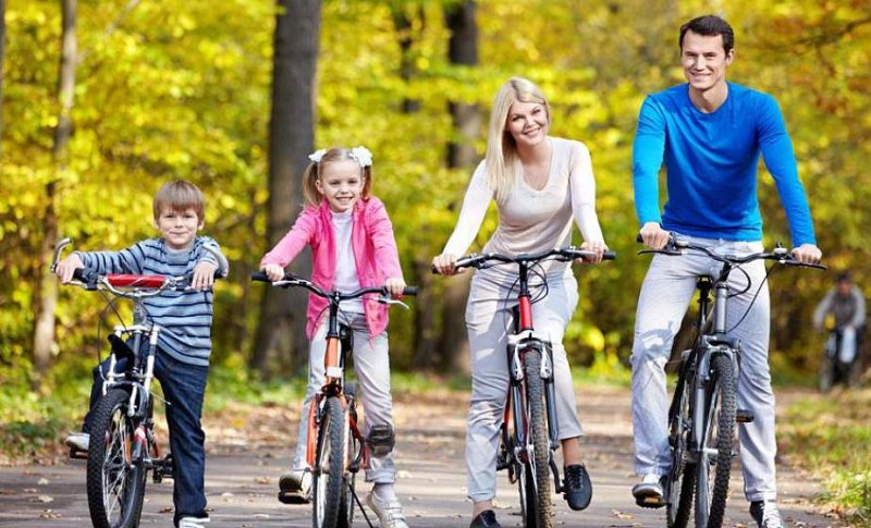 Будь здоров О пользе физических нагрузок правильного режима сна и питания