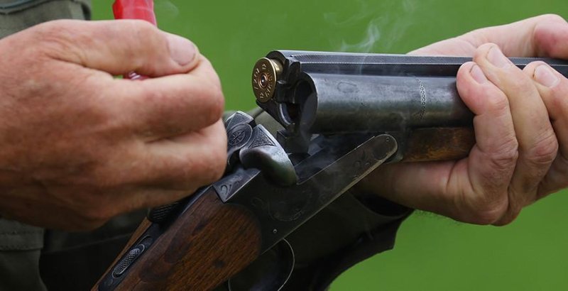 Указом Президента скорректированы правила охоты разрешается охота на медведя и рысь