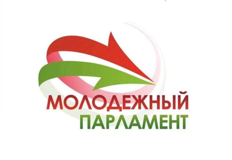 Выбираем молодёжных лидеров При Зельвенском районном Совете депутатов проходят выборы в Молодёжный парламент