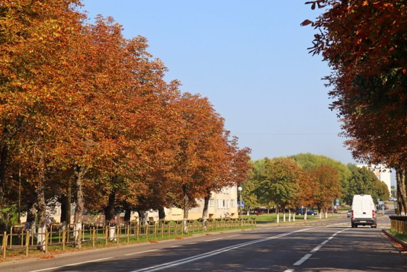 Осень  года вошла в топ самых теплых в Беларуси