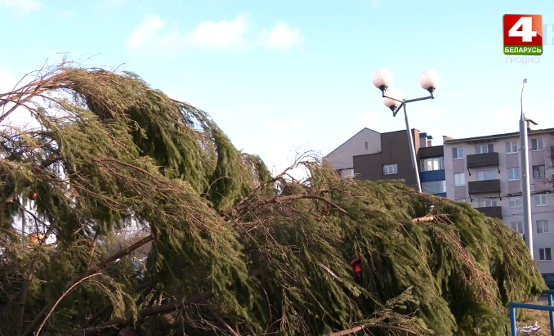 Поваленные деревья сорванные крыши домов обрывы линий электропередач Какие разрушения принес сильный ветер в Гродненской области