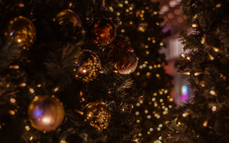 Зельвенский РОЧС предупреждает соблюдайте правила установки новогодней ёлки