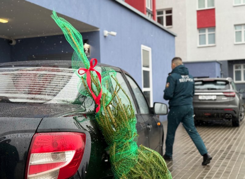 Какой ассортимент и цены на ёлочном базаре в Зельве