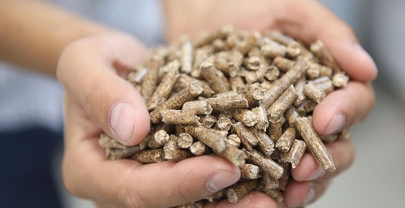Государство будет компенсировать часть расходов на приобретение котлов работающих на пеллетах