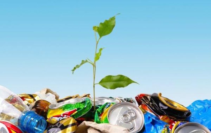 Сколько отходов пластика образуется в Беларуси за год рассказали в Минприроды