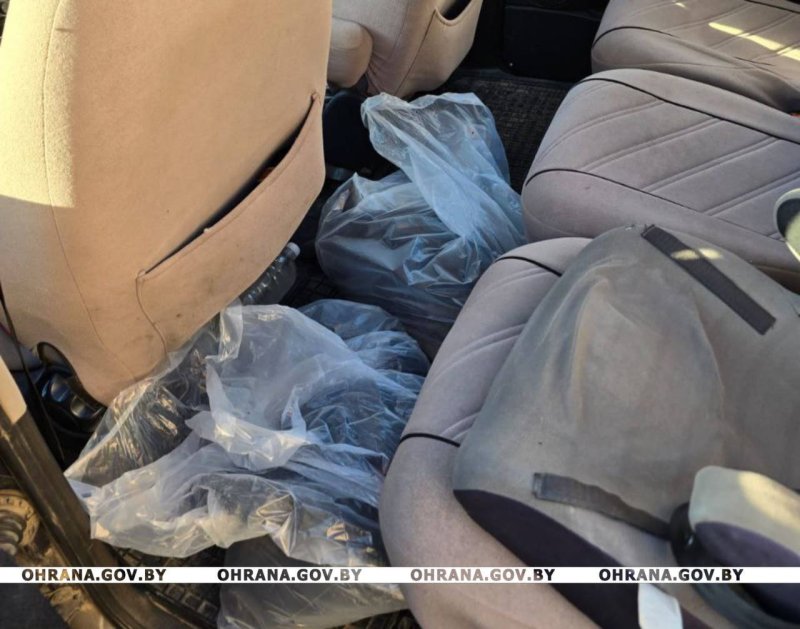 В Зельве во время рейда охрановцы задержали работника с  кг мяса