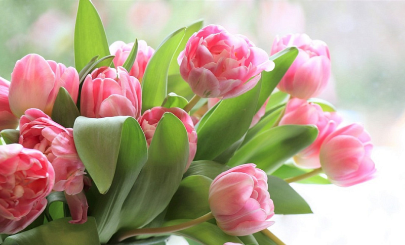 Поздравление Гродненского облисполкома и Гродненского областного Совета депутатов с  марта