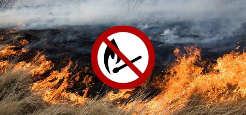 Зельвенский РОЧС предупреждает выжигание сухой растительности опасно и наказуемо