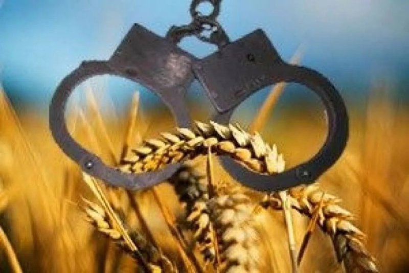 Правонарушения в сфере АПК что влечет за собой хищение из сельхозорганизаций