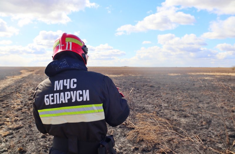 В деревне Острово спасатели ликвидировали возгорание сухой растительности