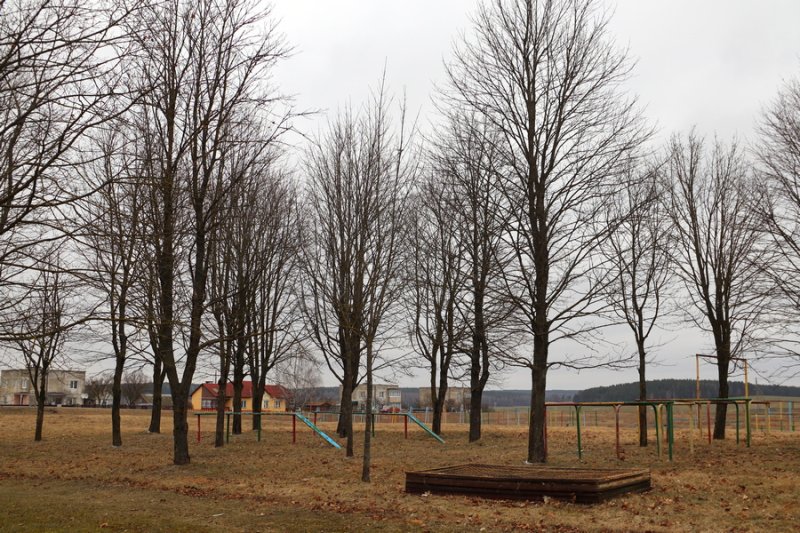 Где в Зельвенском районе появится еще один парк для отдыха