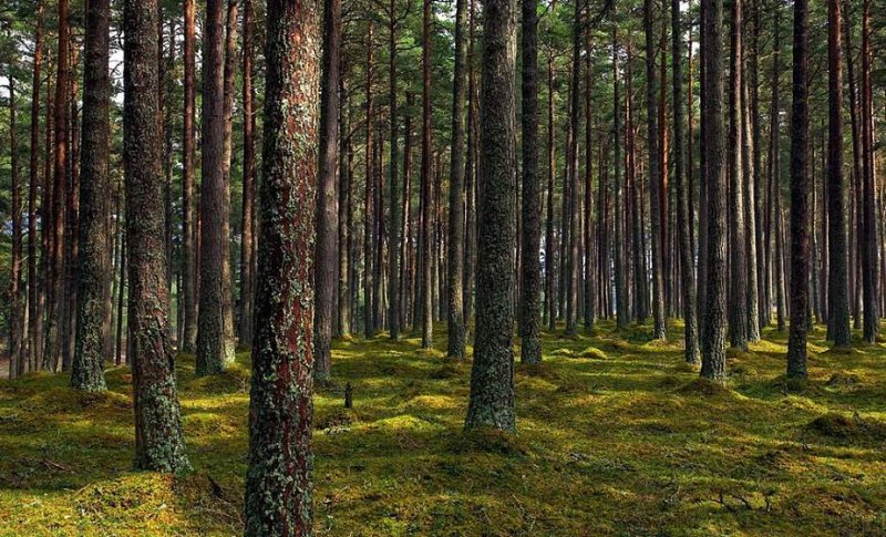 КГК установил нарушения в деятельности субъектов хозяйствования региона