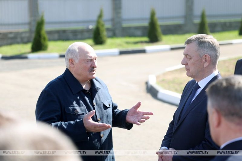 Александр Лукашенко во время рабочей поездки в Витебскую область посещает Оршанский лесхоз