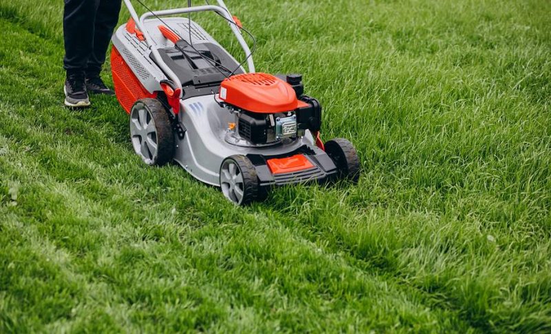 Обязательны покос травы и уборка участков В Беларуси утверждены новые правила благоустройства участков