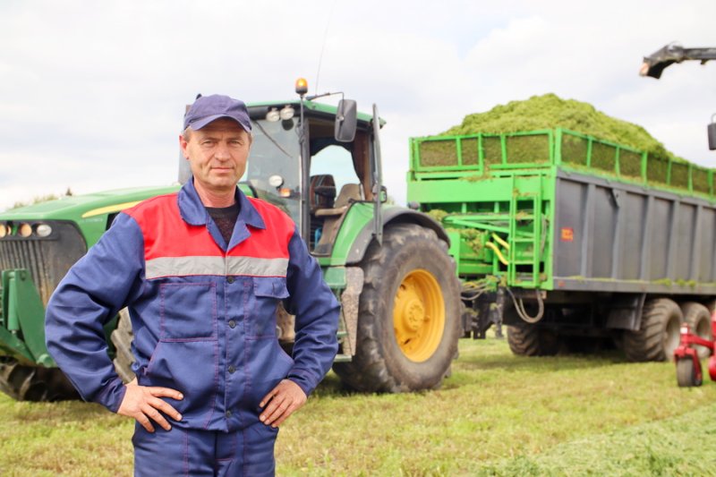 В разгаре кормозаготовительная кампания как идут работы по уборке люцерны на полях филиала Князево