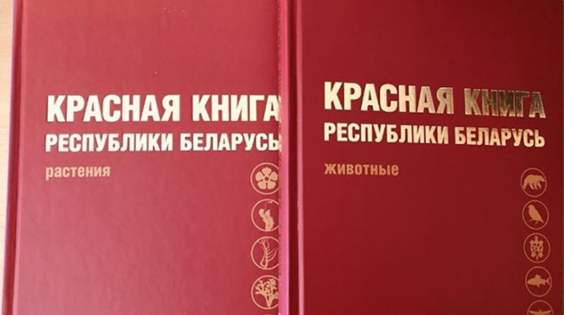 Готовится е издание Красной книги Беларуси