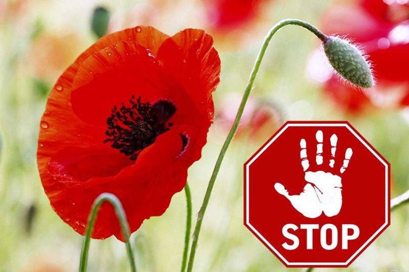 Зельвенский РОВД информирует население о специальной программе МАК