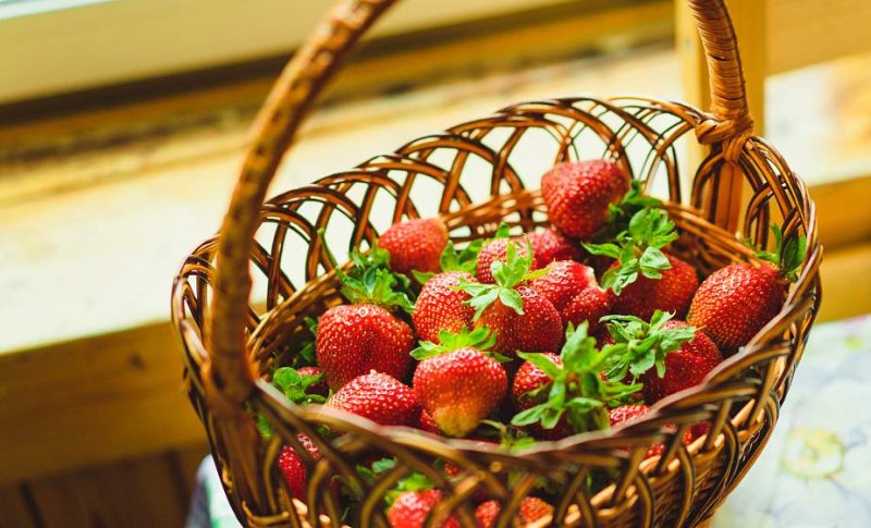 Интересные факты про клубнику польза вред тонкости выбора