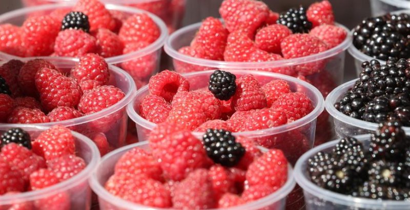 Сезон сбора ягод и грибов в самом разгаре нужно ли платить налог