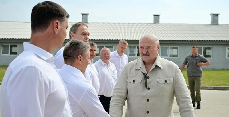 Почему не интенсифицировать процесс Александр Лукашенко поставил принципиальные вопросы в сфере козоводства