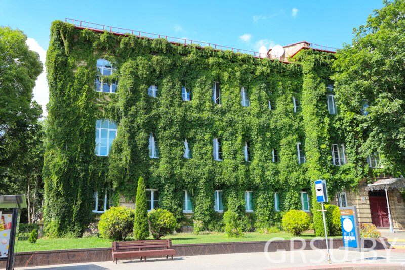 Стоимость обучения в белорусских вузах остается прежней Повышения в этом году не планируется