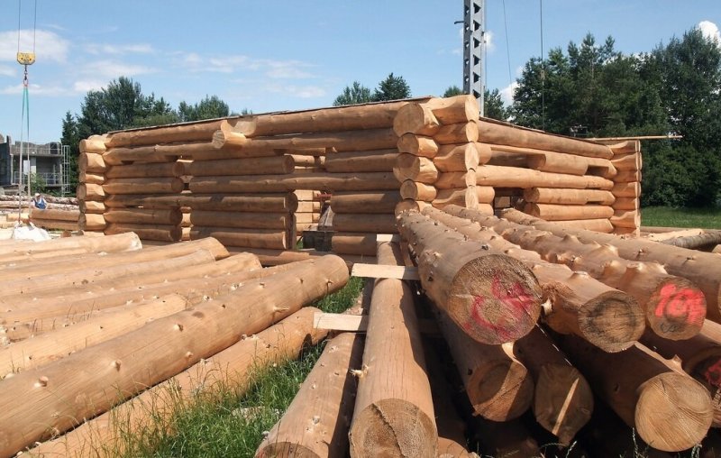 Что нужно знать если хочешь возвести деревянный дом