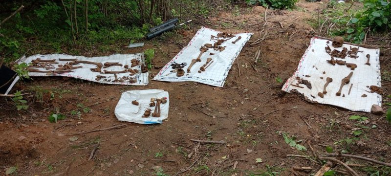 На Зельвенщине ведутся раскопки Что удалось найти