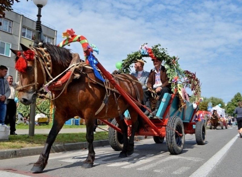 Какие конкурсы ожидаются на фестивале Ганненск крмаш