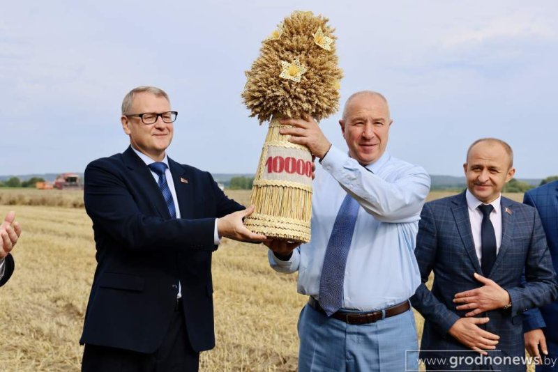 Есть миллион Гродненщина перешагнула знаковую отметку в один миллион тонн зерна нового урожая