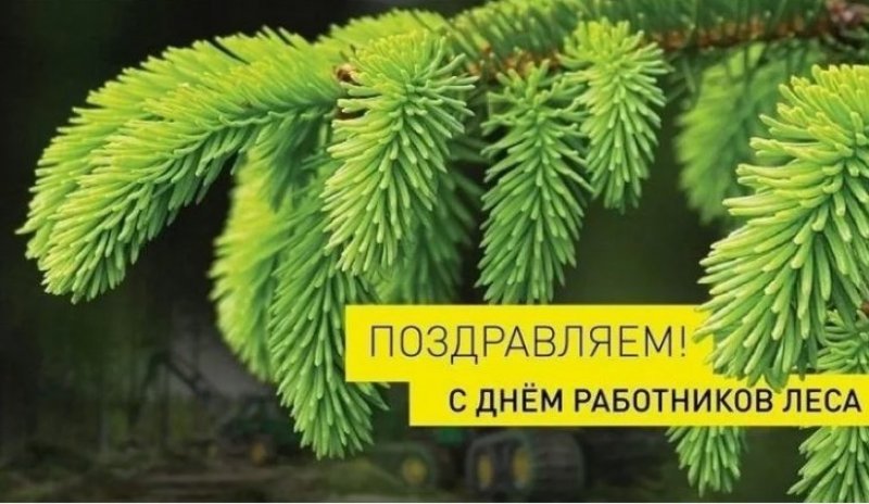 Поздравление с Днем работников леса от Зельвенского райисполкома и Совета депутатов